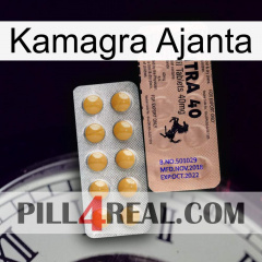 Kamagra Ajanta 41